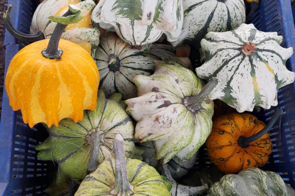 IMG_20210909_185602181