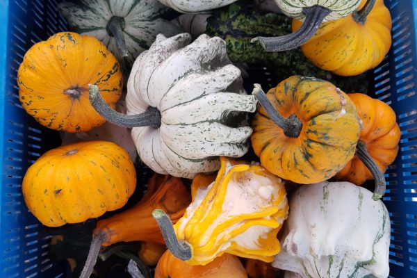 IMG_20210909_185607416