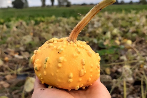 IMG_20210917_173348665_HDR