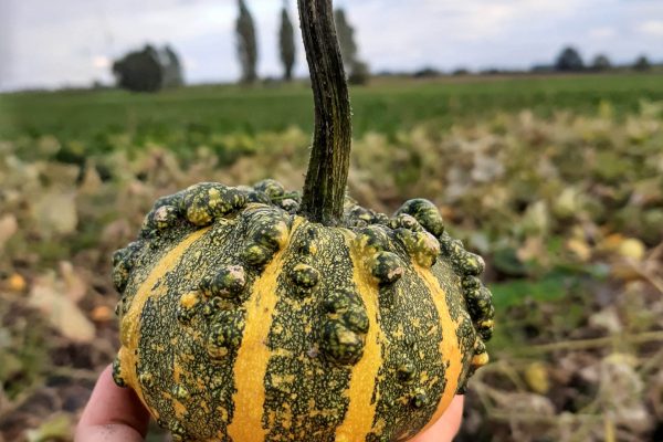 IMG_20210917_173357431_HDR