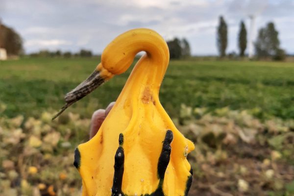 IMG_20210917_174147125_HDR