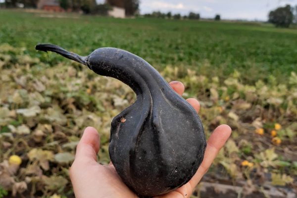 IMG_20210917_174701105_HDR