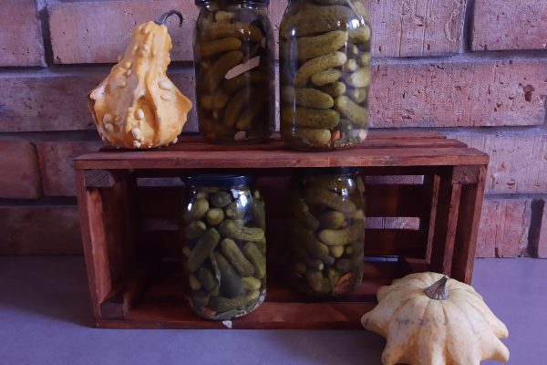 IMG_20211111_152234953