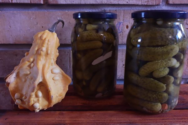 IMG_20211111_152240143