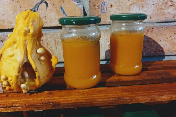 IMG_20211111_153314088