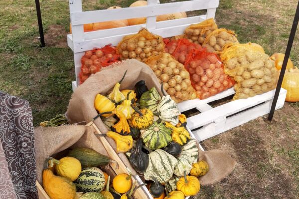 2021.09.11_42. Targi Michałowskie - Mieścisko (2)