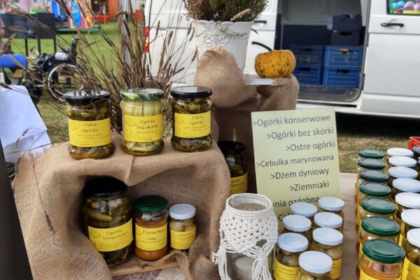2021.09.11_42. Targi Michałowskie - Mieścisko (3)