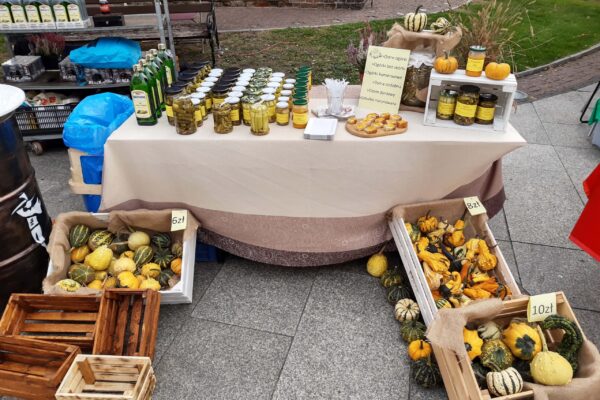 2021.09.19 - Jesień na Pałukach - Żnin, woj. kujawsko-pomorskie (3)