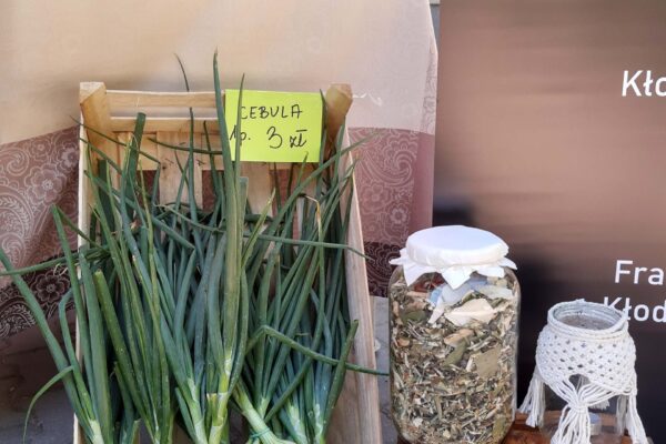 2022.06.25 Festiwal Kobiet Wsi - Mieścisko (2)