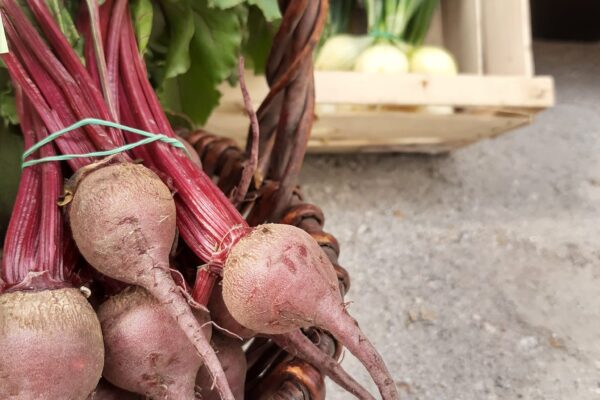 2023.06.17 Mieścisko- festiwal Kobiet Wsi3