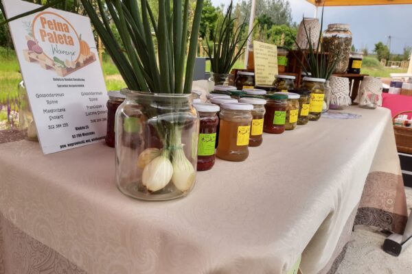 2023.06.17 Mieścisko- festiwal Kobiet Wsi4