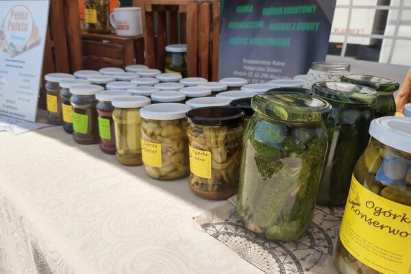 2023.07.15 Michalcza-ogórkobranie2