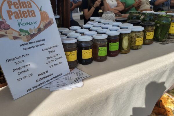 2023.07.15 Michalcza-ogórkobranie3