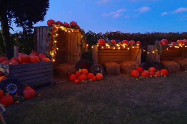 2023.10.15 Dyniowy ogród (13)