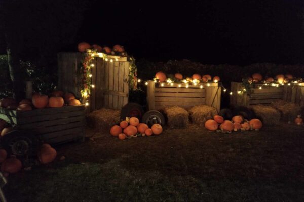 2023.10.15 Dyniowy ogród (18)