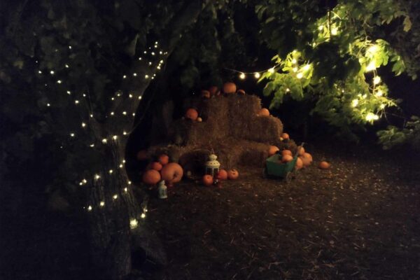 2023.10.15 Dyniowy ogród (19)