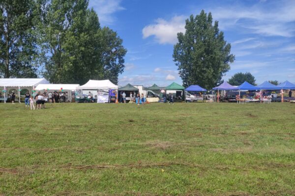 2024.07.13 Ogórkobranie - Michalcza (2)