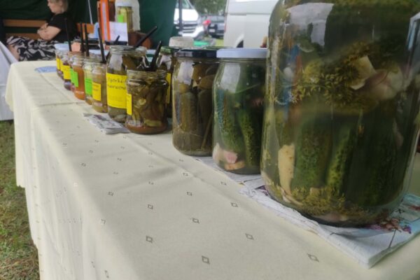 2024.07.13 Ogórkobranie - Michalcza (5)